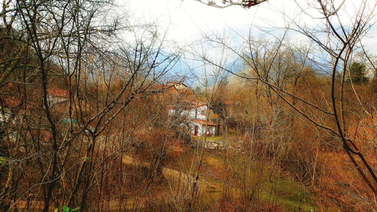 Hotel Rural La Tahona De Besnes Arenas De Cabrales Ngoại thất bức ảnh